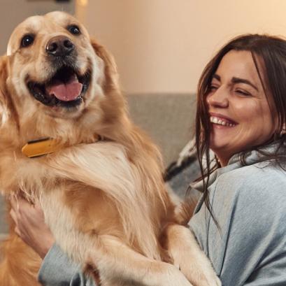 Pet Boarding Insurance with Emergency Vet Coverage: Peace of Mind for Pet Owners in Europe and Ameri