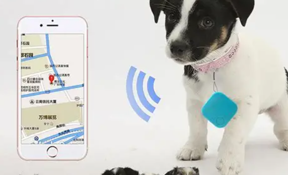 Pet GPS Tracker & Data Protection Insurance: Safeguarding Pets and Privacy