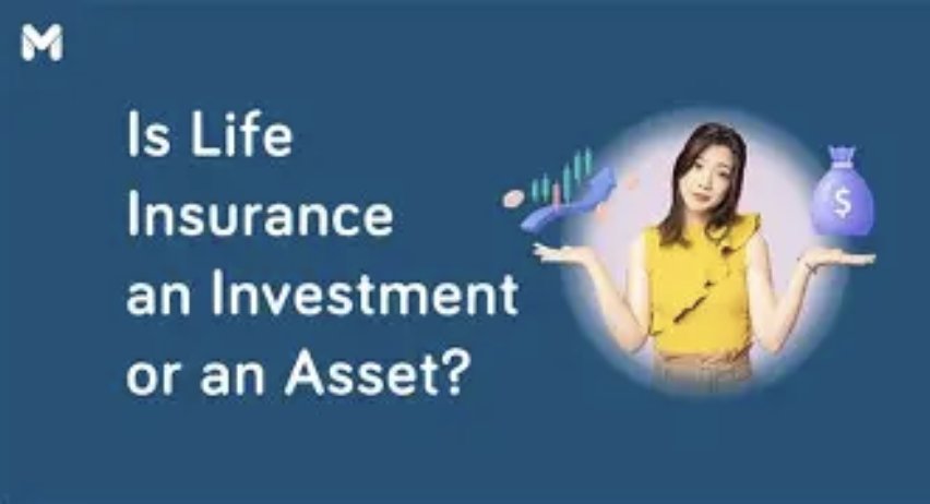 Can Insurance Be Used as Investment?
