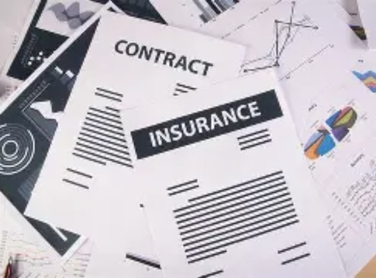 Max Protection, Min Cost: Smart Insurance Strategies
